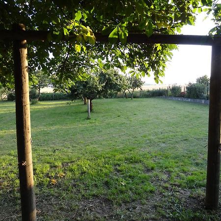 Nitschke "Zum Nusshof" Apartment Ahrensfelde Luaran gambar
